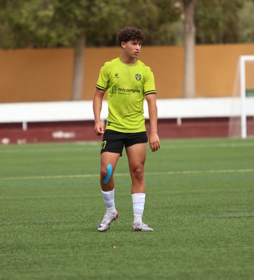 double pivot scanning body shape